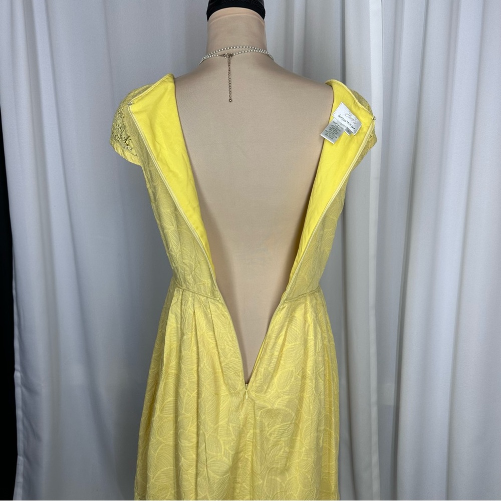 Donna Morgan Embroidered Fit & Flare Dress Sz 8 Lace Cap Sleeve Lined * FLAW - Picture 4 of 11